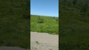 приезжаем реку Зея