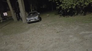 Рыбалка удалась. Судак на зиму.