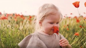 Оля Владимирова - К тебе