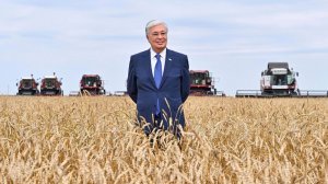 Токаеву доложили о рекордном урожае зерновых в Акмолинской области