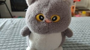 играем в мягкую игрушку котика