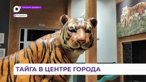 Единственный в Приморье музей Уссурийской тайги готов принимать посетителей