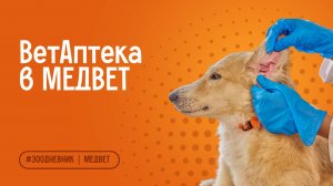 Ветеринарная аптека МЕДВЕТ: корма, препараты, аксессуары и товары для питомцев