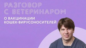 Разговор с ветеринаром о вакцинации кошек-вирусоносителей. Запись прямого эфира