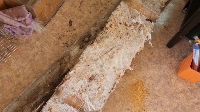 сгнил пол на даче ✔ как положить доску пола и разобрать телевизор