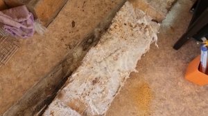 сгнил пол на даче ✔ как положить доску пола и разобрать телевизор