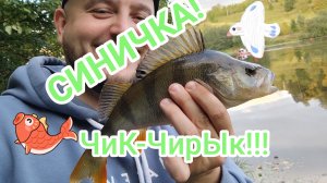 РЫБАЛКА НА СИНИЧКЕ!  #рыбалка #fish #fishing #природа #отдых #рыба #щука #красота #хобби #окунь