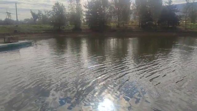 WhatsApp Video 2025-09-16 at 09.53.29