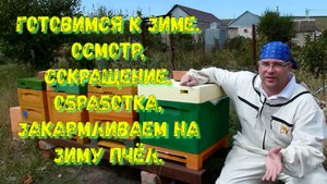 Проводим проверку, формируем и подготавливаем пчел к зимнему периоду.