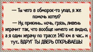Туриста укусила змея за хозяйство! Сборник острых анекдотов! Юмор