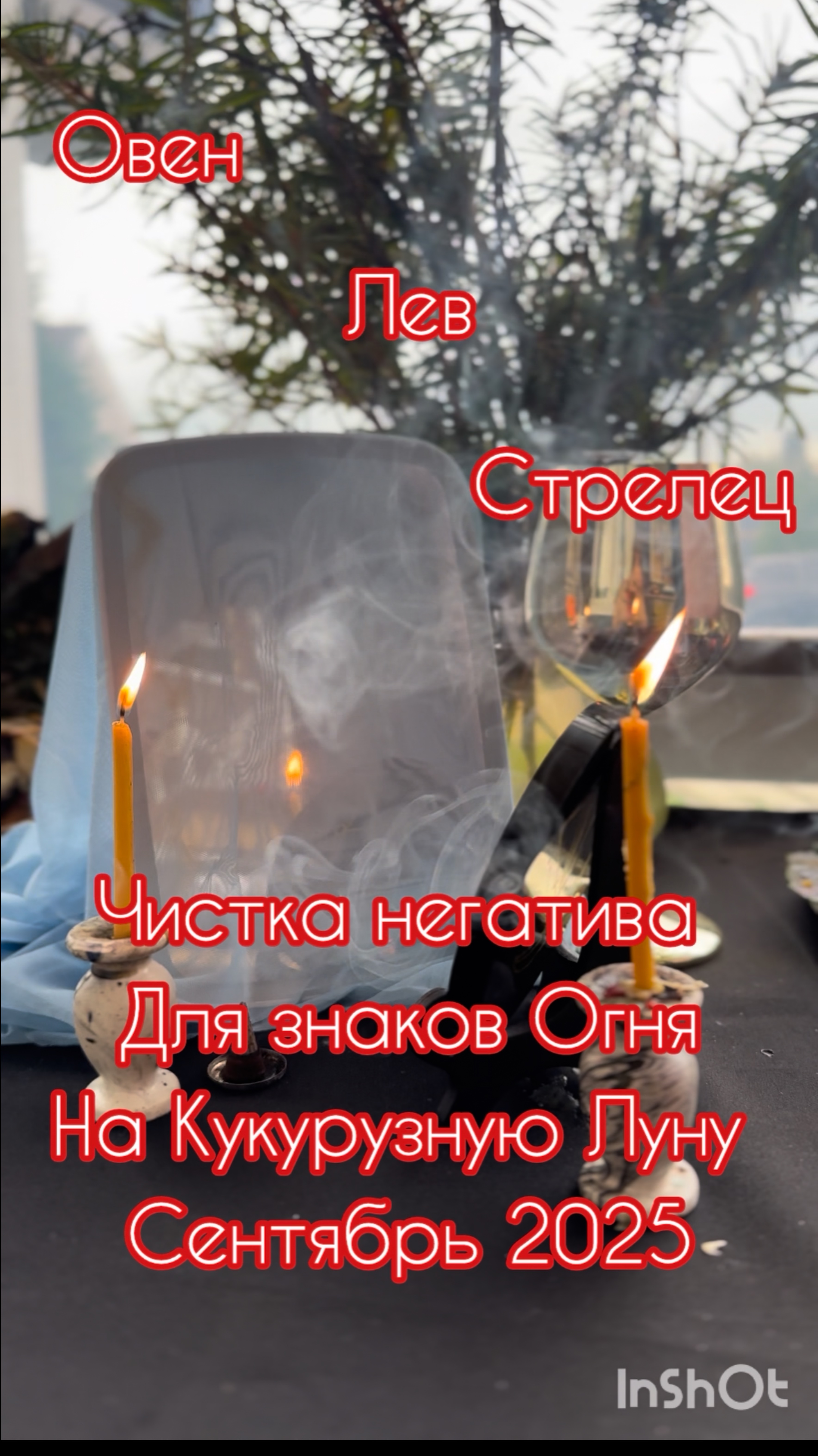 Овен, Лев, Стрелец. Чистка. Сентябрь 2025