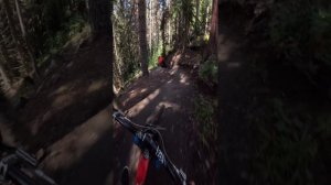 старый романтик Архыз 2025