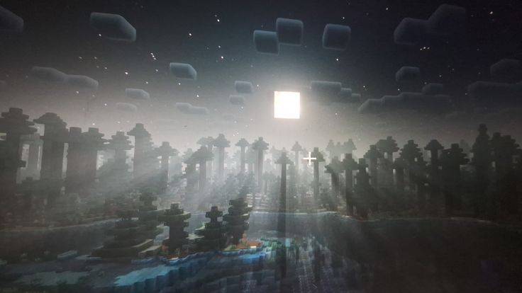 Смотрим тик токи  1