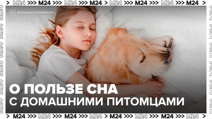 Врачи рассказали о пользе сна с домашними животными - Москва 24