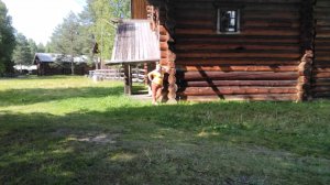 Когда отель вправе отказать в заселении