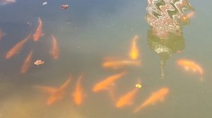 Давидова пустынь