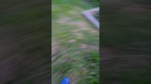 Антошка 2часть