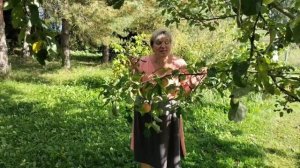 "Найди себе друга".Песня под минус для друзей на природе.♥️🌞🙋