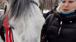 ЗИМНЕЕ ВИДЕО ТИМИРЯЗЕВСКИЙ ПАРК ЛОШАДИ