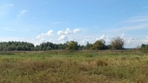 "Русское поле " Песню Яна Френкеля  поет Владимир Ивашов. Пока гуляли, все время пела  эту песню...