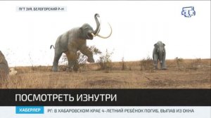 Пещеру Таврида посетили дети из лагеря «Артек» в рамках фестиваля «Путешествия и туризм по Республик