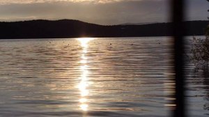 "Кадры августа"