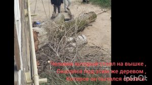 14.09.2025 
УПАЛО ДЕРЕВО на человека который это же дерево пилил
поселок Краснозатонский