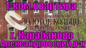 Продается однокомнатная квартира в гор. Карабаново, Александровский р-он, Владимирской обл.