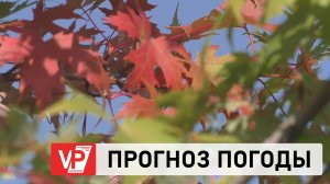 В ВОЛГОГРАД ПРИДЕТ БАБЬЕ ЛЕТО