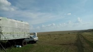 Пчёлы и ветер