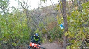 Тропа Джарвиса