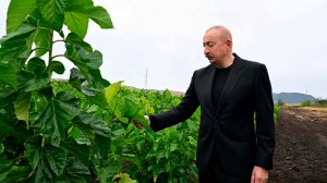 Ильхам Алиев провел встречу с аграриями регионов Республики