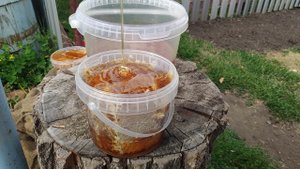 Сотовый мёд, залитый мёдом в ведерке