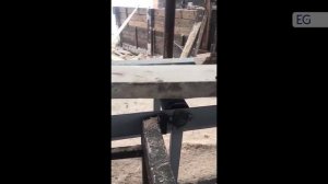 Бревнопильный станок MJ-Y7-500-XB