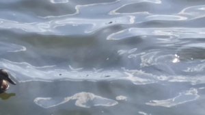 3. Город Магнитогорск. 24 августа 2025 года.