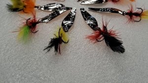 БЛЕСНА КОТОРАЯ ЛОВИТ