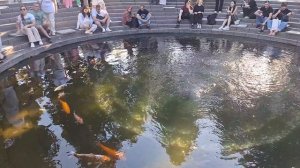Прогулка по парку Галицкого. Краснодар.