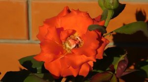 05=09=2025  Ю  КМР  (36)