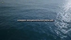 10 Жёстких Правил Жизни О Которых Тебе Никто Не Скажет _ Джо Диспенза