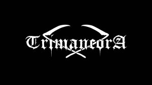 Команда "TrimancorA"