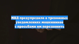 МВД предупредило о тревожных уведомлениях мошенников с просьбами им перезвонить