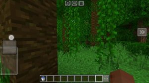 майнкрафт джунгли