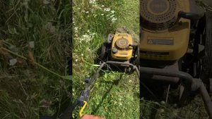 Мини Обзор косилки чемпион 5640