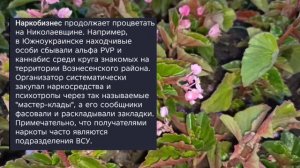 Николаев 16 сентября 2025 года ( новости)