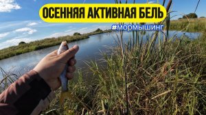 #Мормышинг | Ловля осенней плотвы на спиннинг |
