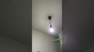 Муракомары отокуют квартиры россиян ужас