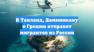 В Таиланд, Доминикану и Грецию отправят мигрантов из России