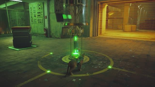 Stray.  Мидтаун. Часть 27