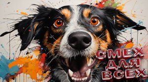 Милые и смешные собаки и песики - подборка видео ЮМОР СОБЧКИ песики СМЕХ