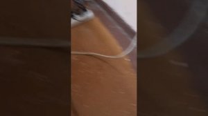 стрим в школе